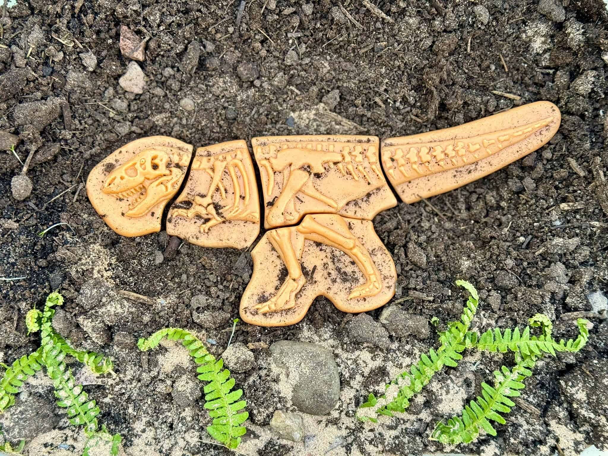 Dinosaur Skeletons Fossil Set – Sensory & Messy Play - Image 5