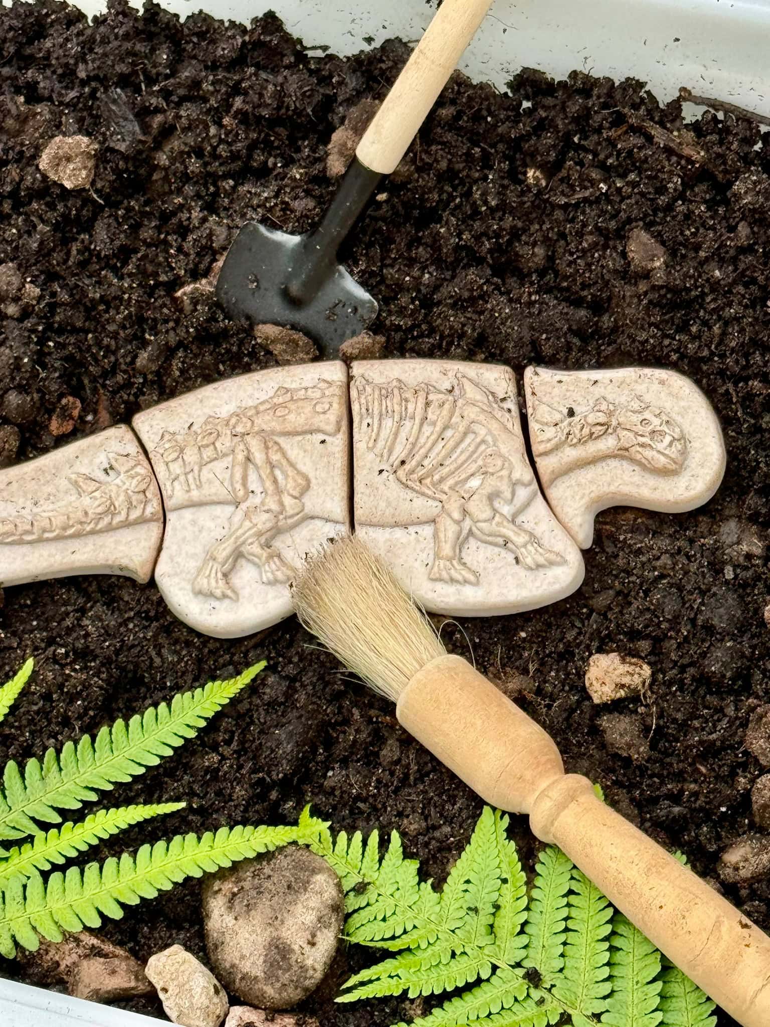 Dinosaur Bundle – Messy and Sensory Play - Image 4