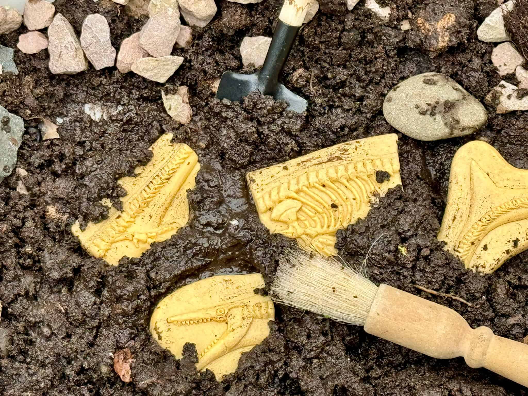 Dinosaur Skeletons Fossil Set – Sensory & Messy Play - Image 11